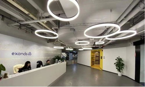 長寧三家企業(yè)榮登上海軟件外包服務立項名單，助力區(qū)域數字經濟發(fā)展